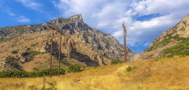 Sarı çim ve güç hatları pano çimen
