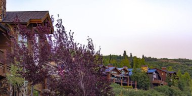 Ağaçlarda hills pano evler