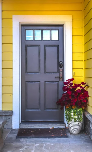 Zona de entrada amarilla con puerta oscura y flores rojas altas —  Fotos de Stock