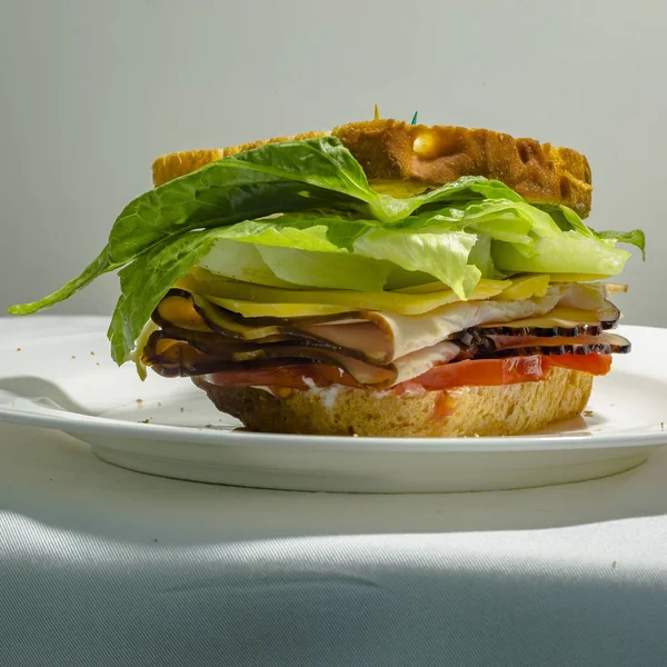 Nahaufnahme von Feinkostsandwich mit appetitanregender Füllung — Stockfoto