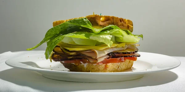 Sandwich de delicatessen en un plato con relleno delicioso — Foto de Stock