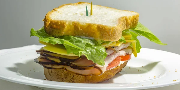Saftige Feinkostsandwich mit dicker Füllung — Stockfoto