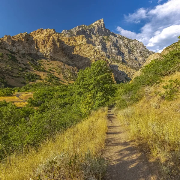 Narrow hiking trail in Provo Utah at sunset