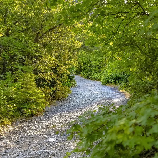 Sentier Rock Canyon au milieu d'un feuillage luxuriant à Provo — Photo