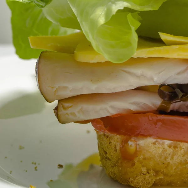 Up close view of mouthwatering deli sandwich — Stock Photo, Image