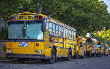Parlak sarı okul otobüs yolun üzerine park etmiş.