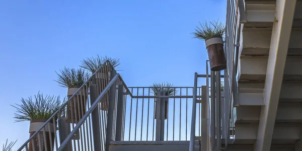 鉢植えの植物が付いている階段を手すりに曲げ — ストック写真