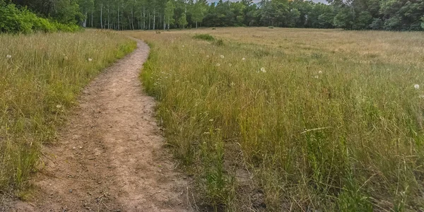 Hiking trail on a grassy field in Provo Utah — Stock Photo, Image