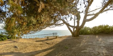 Güneşli tezgah Scripps Pier doğal manzaralı