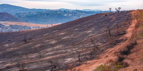 Montagne ravagée par le feu du Lilas à Fallbrook CA — Photo
