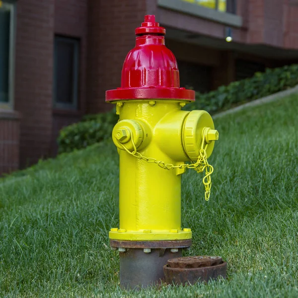 Red and yellow fire hydrant on a grassy slope