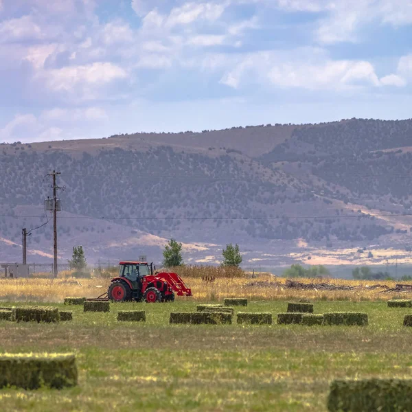 Tractor y líneas eléctricas en un campo en Utah Valley — Foto de Stock
