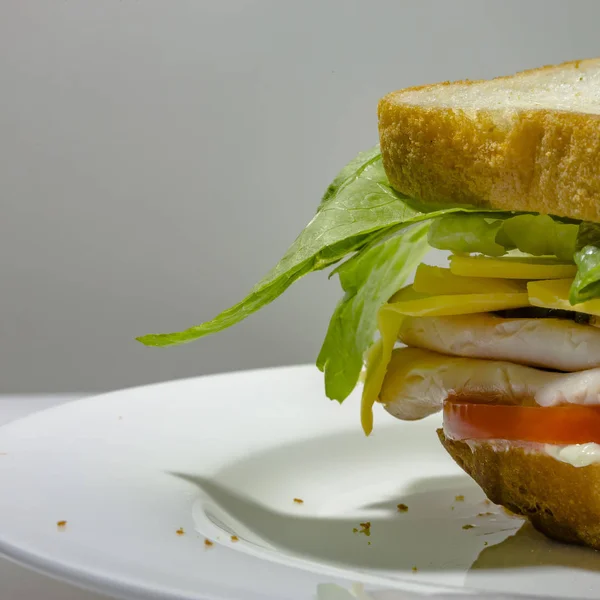 Close up of a delicious deli sandwich on a plate — Stock Photo, Image