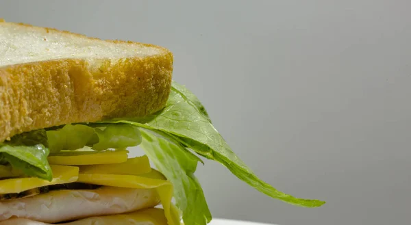 Close up of deli sandwich against white background