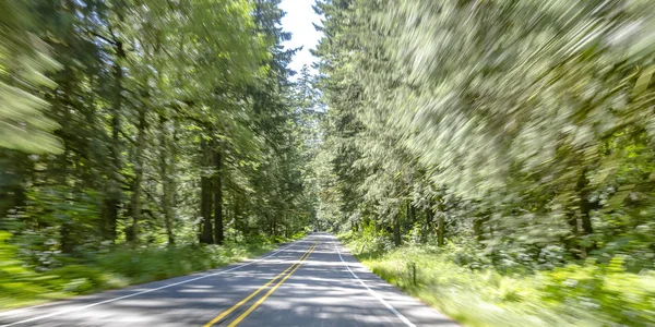 Camino en medio de árboles en Washington con desenfoque de movimiento — Foto de Stock