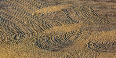 Parça eğri ile yetiştirme Brown empy alan işaretleri