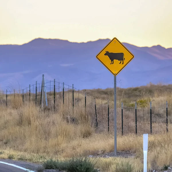 Cattle crossing road sign against mountain in Utah