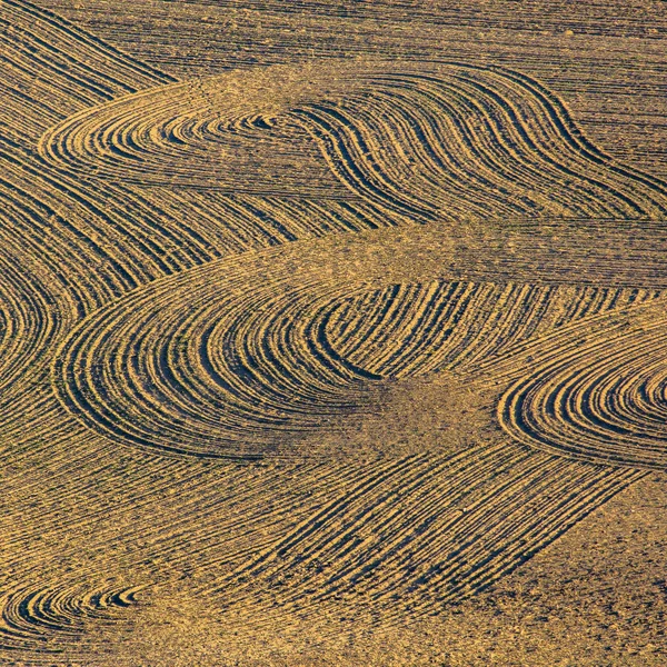 Curva hasta marcas en campo de tierra marrón — Foto de Stock