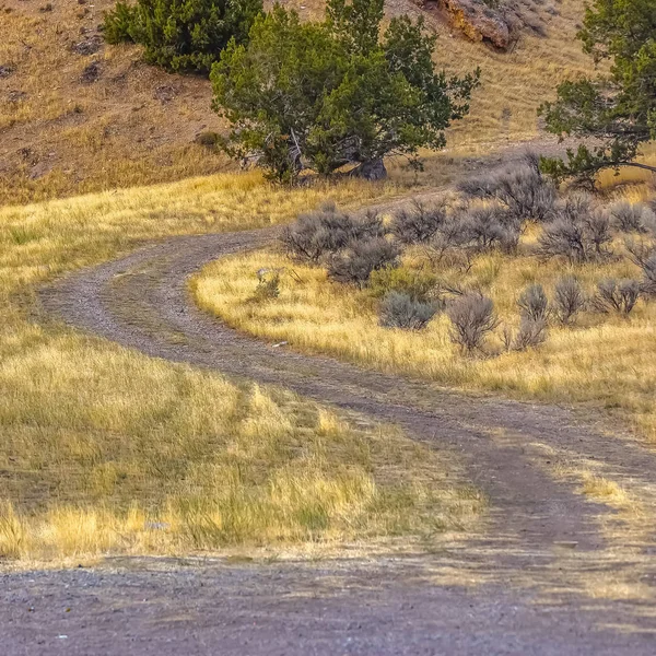 Sentiero curvo su terreni erbosi nel Goshen Canyon Utah — Foto Stock