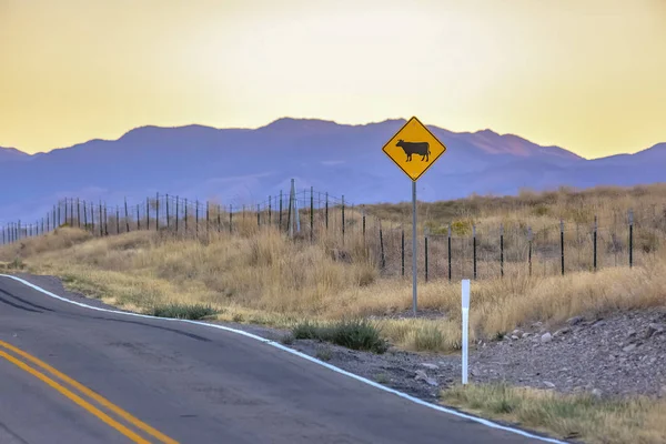 Autoroute 68 dans l'Utah avec le bétail traversant panneau routier — Photo