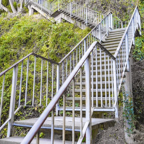 포도 나무와 산의 측에 계단 — 스톡 사진