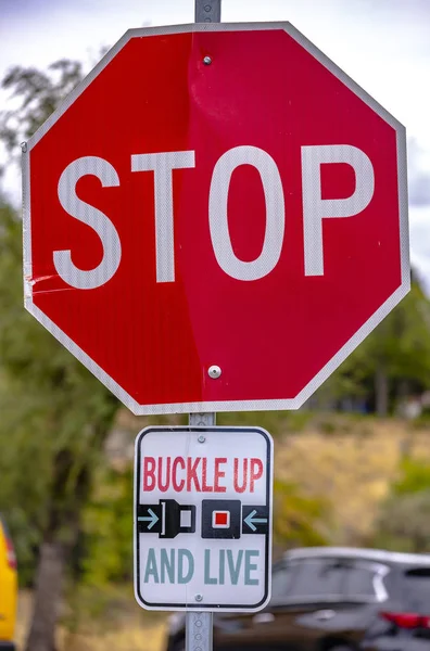 Stoppschild oben anschnallen und lebendes Verkehrszeichen — Stockfoto