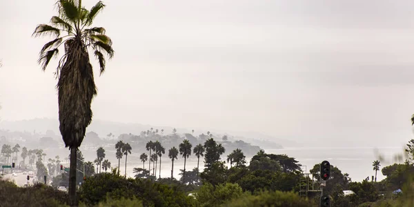 Ağaçlar ve San Diego deniz trafik ışıkları — Stok fotoğraf