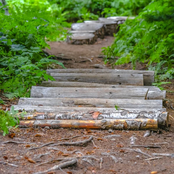 Tiang kayu dan anak tangga di jalan hiking — Stok Foto