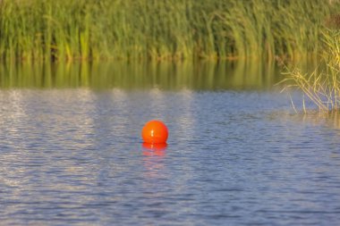 Oquirrh gölde kalın otlar kırmızı top