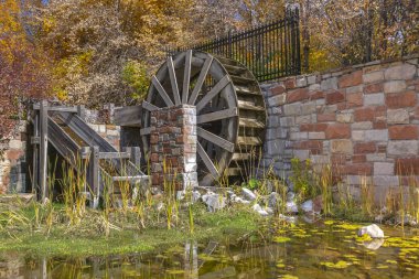 Gölet zambak yastıkları ve su çarkı Tuz Gölü ile