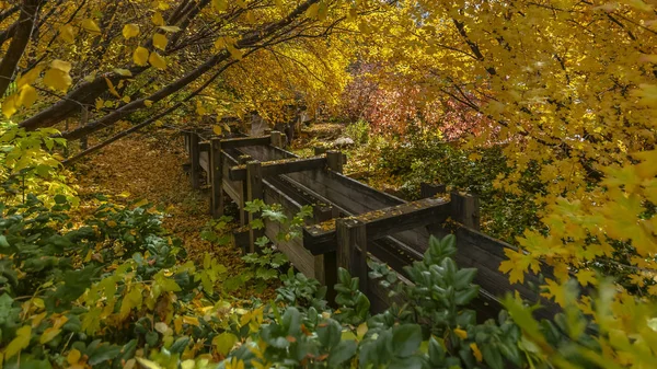 Transporting water from river with wood in park — Stock Photo, Image