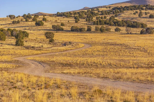 Prašné stezky v Eagle Mountain Utah se stromy — Stock fotografie