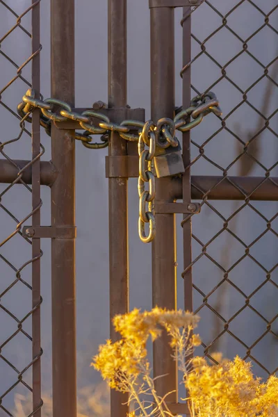 Chain link fence closed with padlock and bush