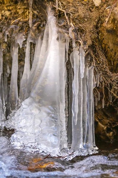 Eiszapfen, die sich aus Baumwurzeln und Felsen bilden — Stockfoto