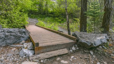 Provo Utah hiking trail kısa ve dar köprü