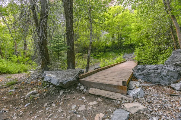 森のプロボ ユタ州の素朴な木製の橋 — ストック写真