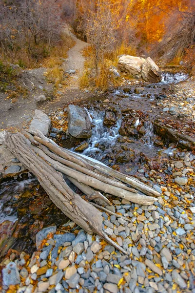 Brug over creek gemaakt van boom over water — Stockfoto