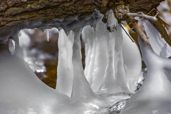 Eingefrorene Eiszapfen hängen an Baumstamm im Bach — Stockfoto