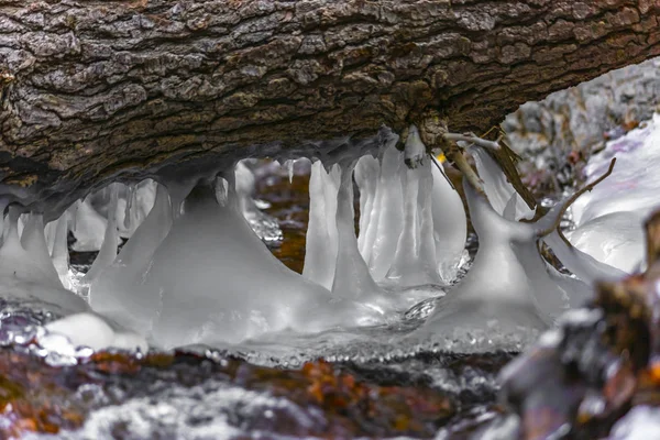 Kısmen donmuş nehir günlüğüne kapalı asılı buz sarkıtları — Stok fotoğraf
