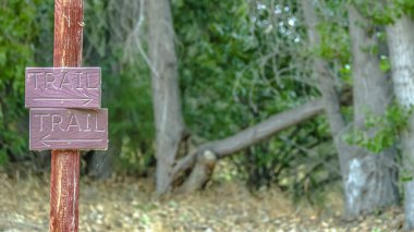 Yürüyüş iz işareti Provo Utah ağaçlarda karşı