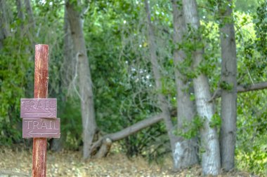 Provo Utah vahşi doğada yürüyüş yolu işaretleri