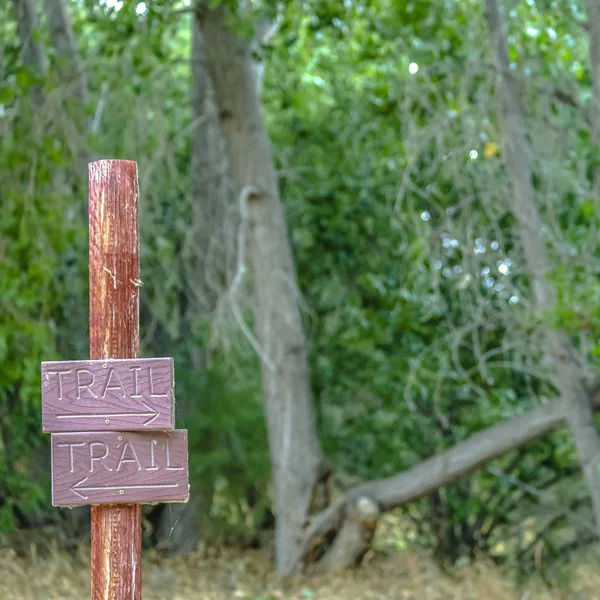 Directional trail sign against lush trees in Provo