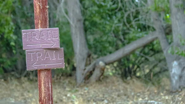 Wooden trail sign against lush trees in Provo Utah