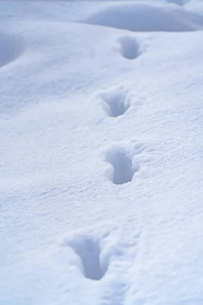 Impronte sulla neve liscia in una giornata di sole — Foto Stock