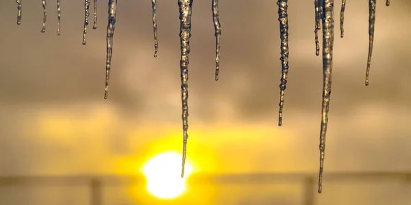 Ігристі бурульки проти яскравого золотистого заходу сонця — стокове фото