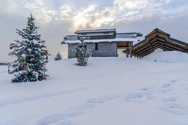 Paysage hivernal givré avec arbre de Noël en plein air — Photo