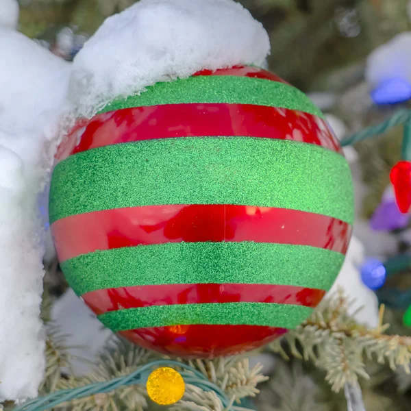 Zblízka cetka na zasněžené vánoční stromeček — Stock fotografie