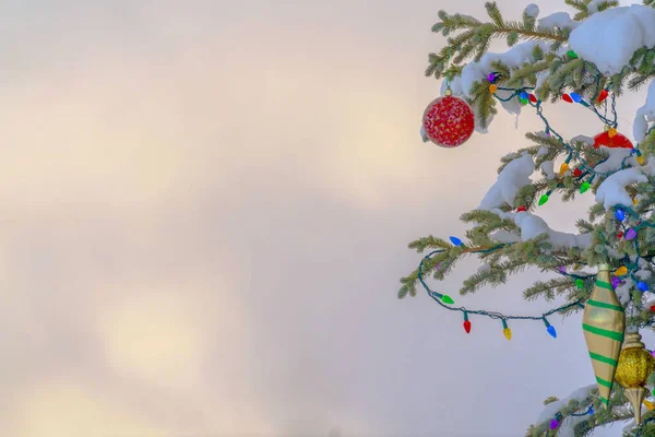 Colorful outdoor Christmas tree against bright sky