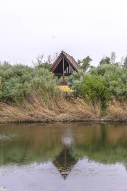 Çatı ve yeşillik Provo suya yansıyan