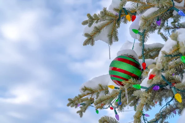 Vánoční strom pokrytý sněhem proti zatažené obloze — Stock fotografie